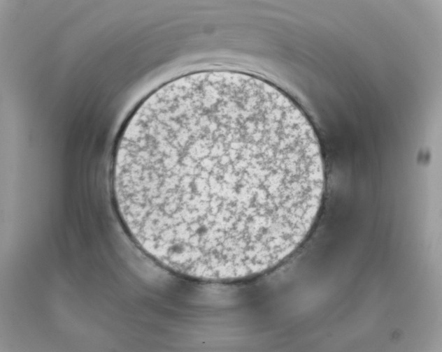 X0000091701514200709141049