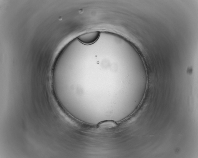 X0000091701517200709141049