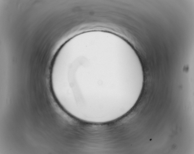 X0000091701518200709141049