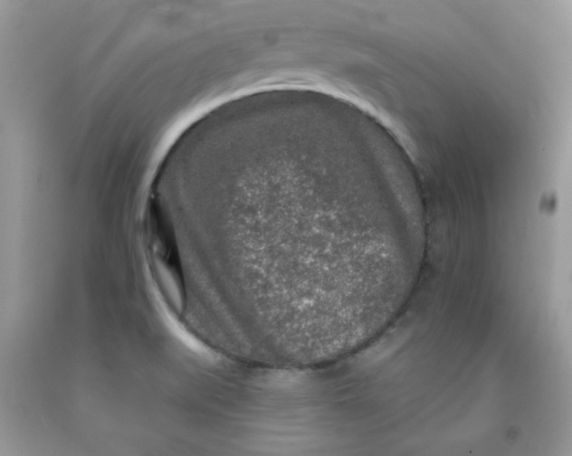 X0000091701519200709141049