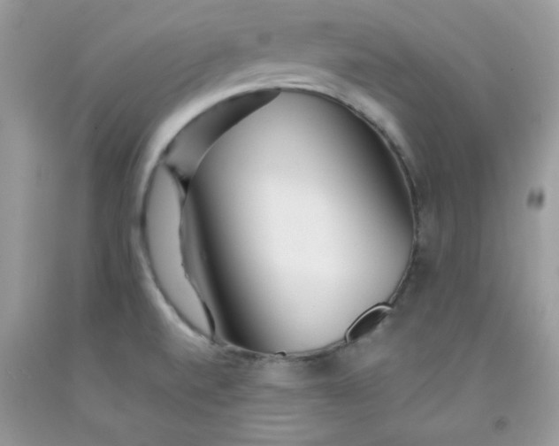 X0000091701520200709141049