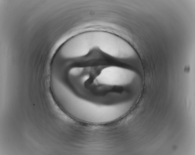 X0000091701522200709141049