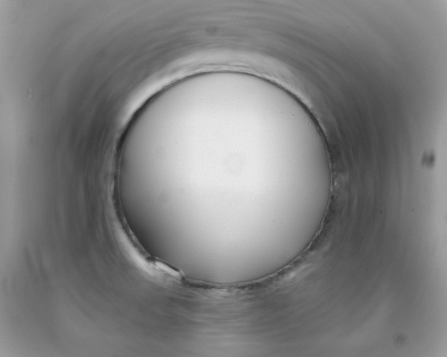 X0000091701523200709141049