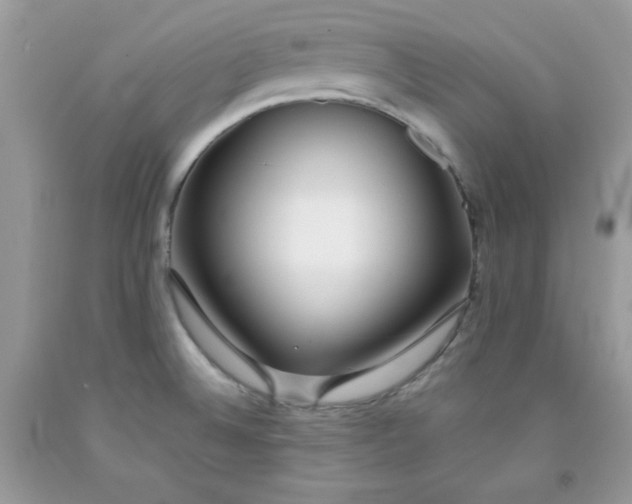 X0000091701524200709141049