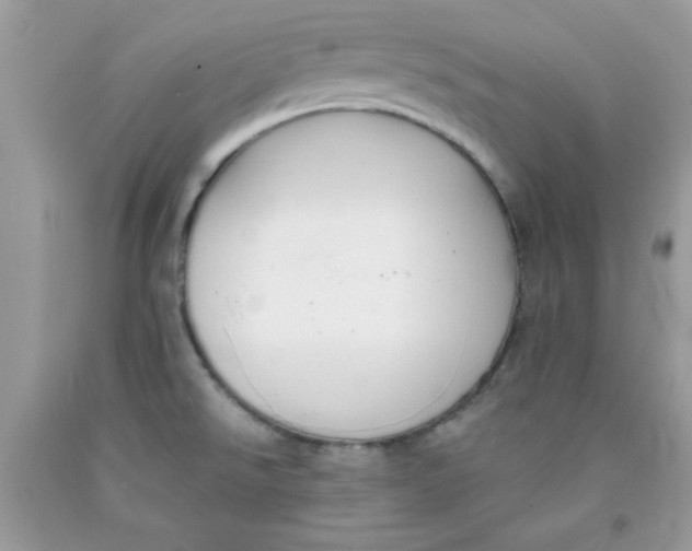 X0000091701526200709141049