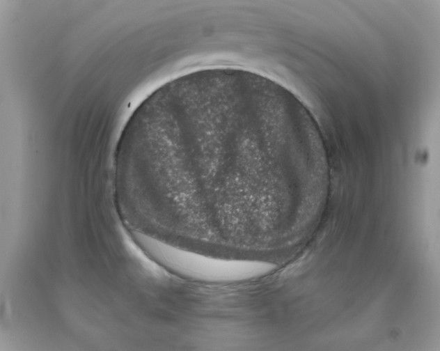 X0000091701527200709141049