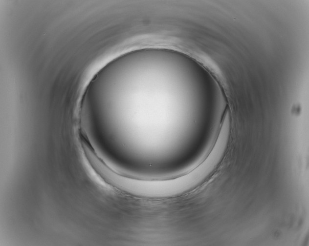 X0000091701528200709141049