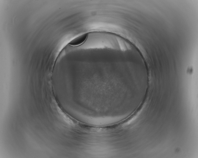 X0000091701529200709141049