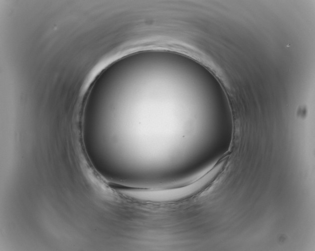 X0000091701530200709141049