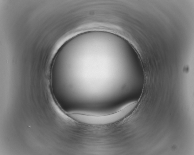 X0000091701531200709141049