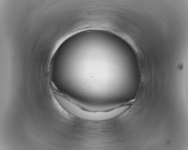 X0000091701532200709141049