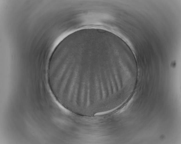 X0000091701533200709141049