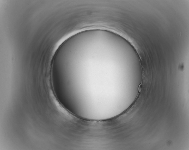 X0000091701534200709141049