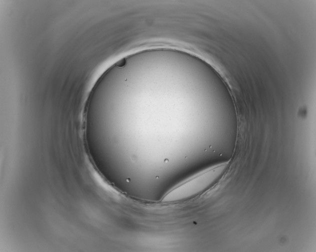 X0000091701535200709141049