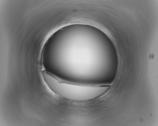 X0000091701536200709141049