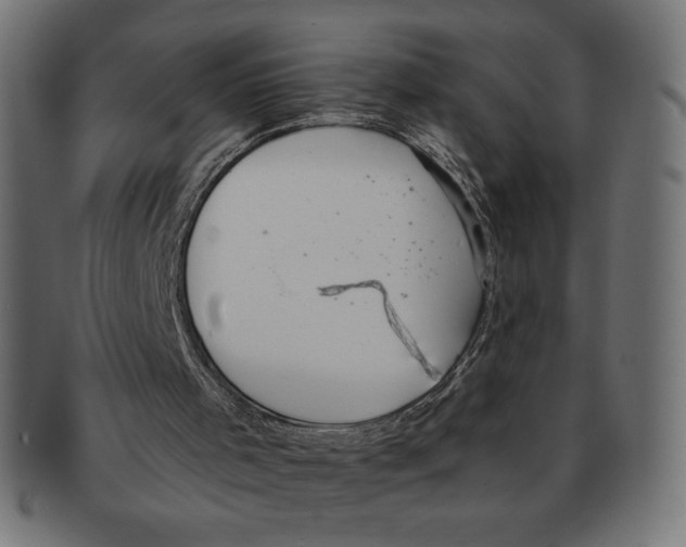 X0000091700001200709210931