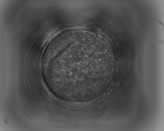 X0000091700002200709210931