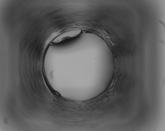 X0000091700003200709210931