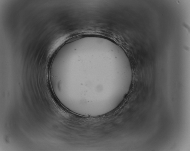 X0000091700005200709210931