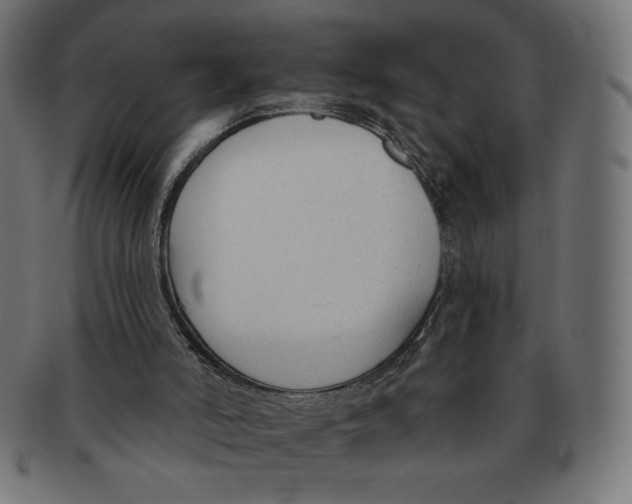 X0000091700006200709210931