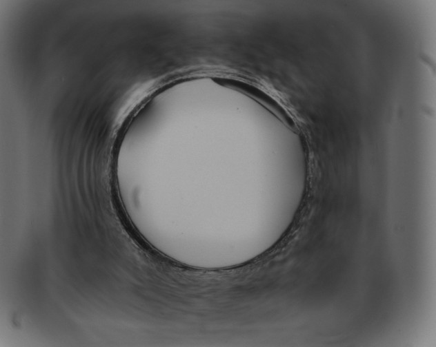 X0000091700007200709210931