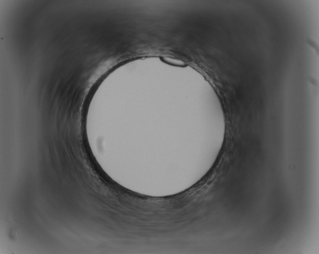 X0000091700008200709210931