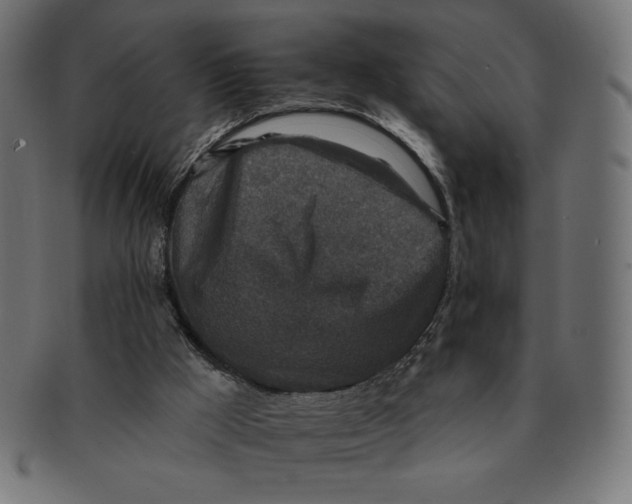 X0000091700009200709210931