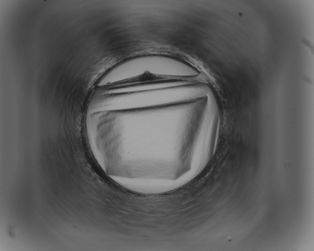 X0000091700010200709210931