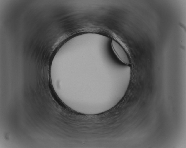 X0000091700011200709210931