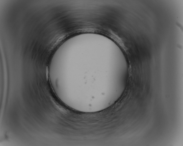 X0000091700013200709210931