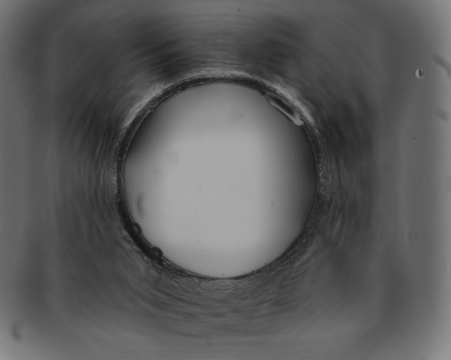 X0000091700015200709210931