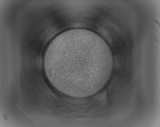 X0000091700016200709210931