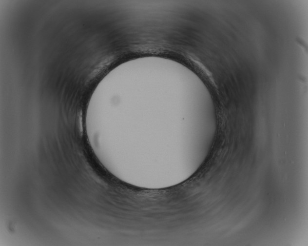 X0000091700020200709210931