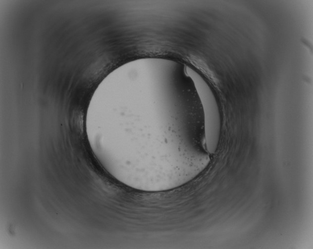 X0000091700021200709210931