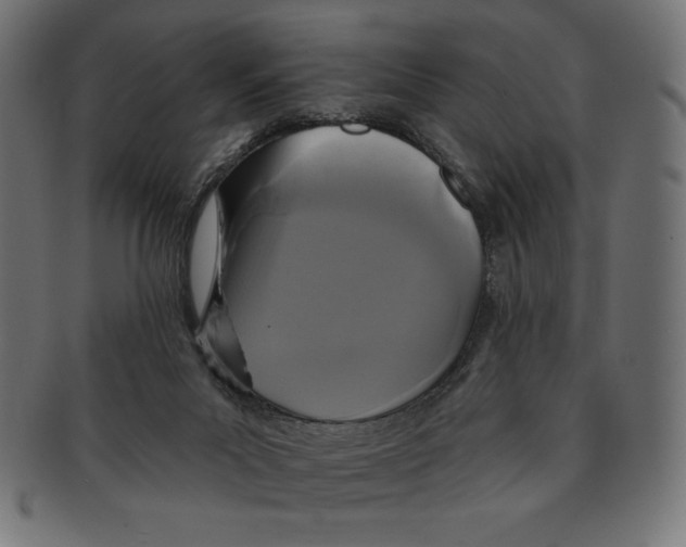 X0000091700023200709210931