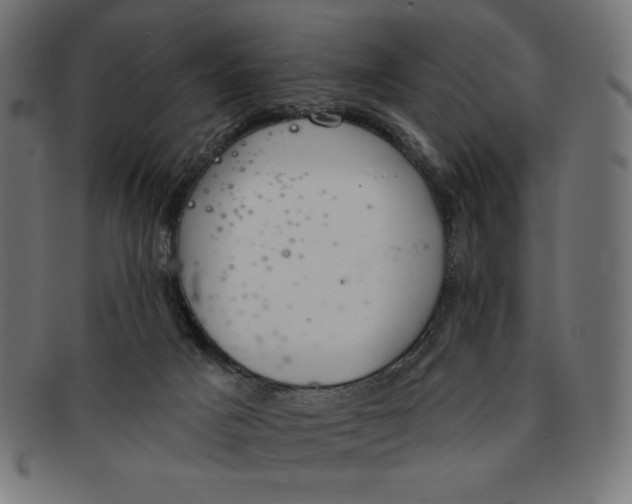 X0000091700025200709210931