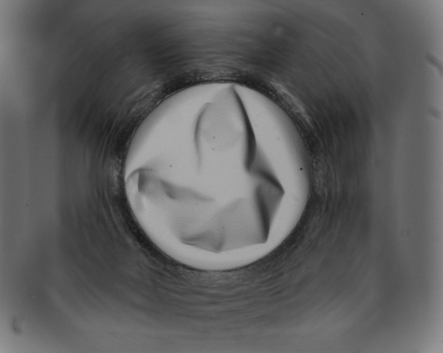 X0000091700026200709210931