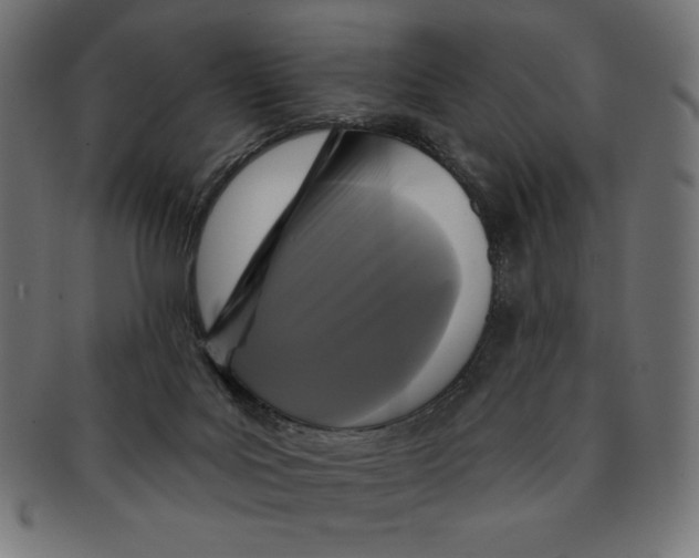 X0000091700027200709210931