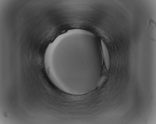 X0000091700031200709210931