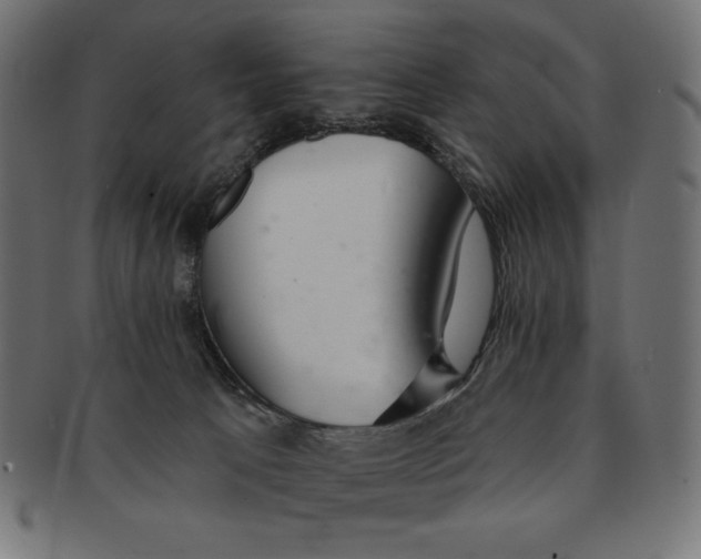 X0000091700033200709210931