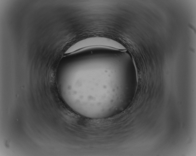 X0000091700037200709210931