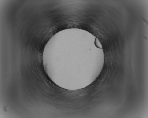 X0000091700038200709210931