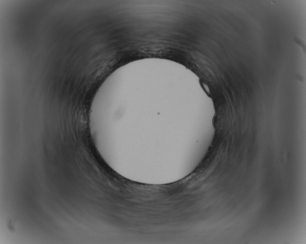 X0000091700040200709210931