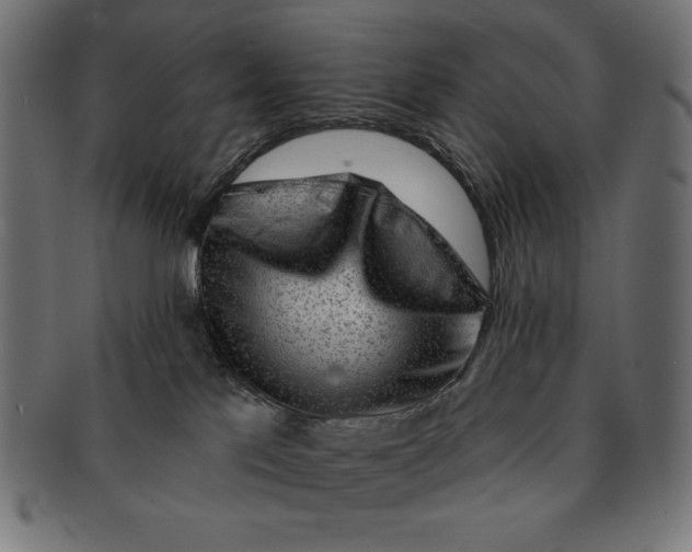 X0000091700041200709210931