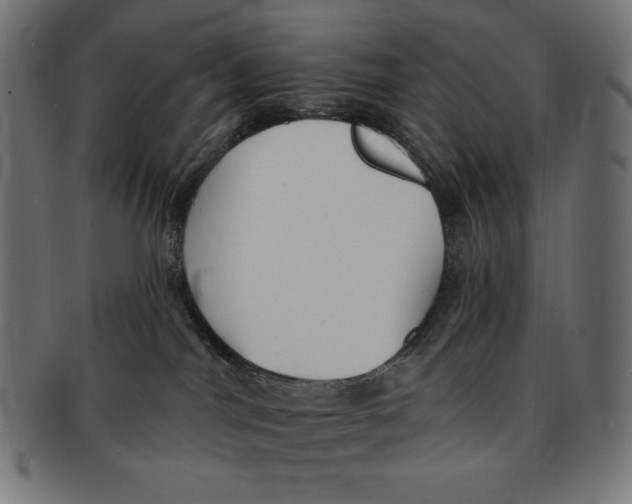 X0000091700044200709210931