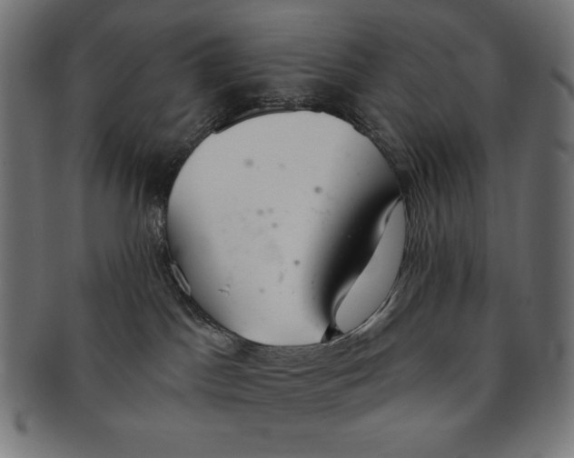 X0000091700045200709210931