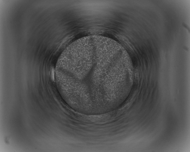 X0000091700046200709210931