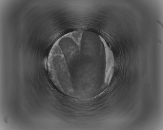 X0000091700047200709210931