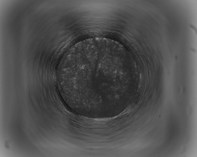 X0000091700048200709210931