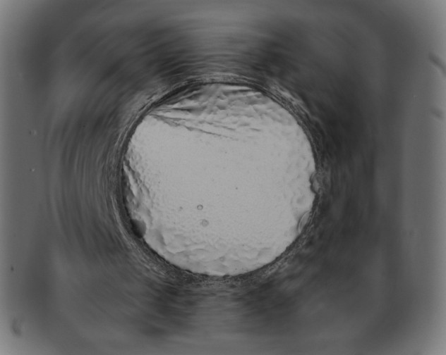 X0000091700049200709210930